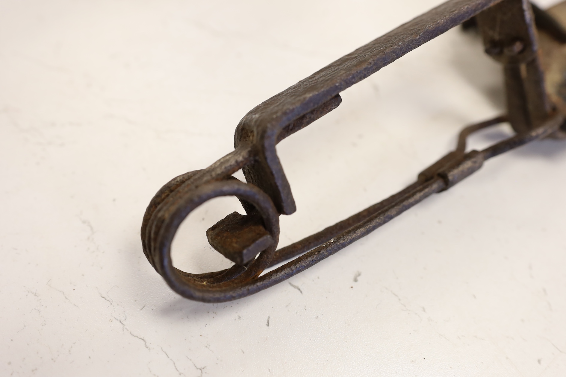 A wrought iron animal trap, a Durham Cathedral style door knocker back plate, a diamond tipped glass cutter and a group of Treen, tallest 42.5cm. Condition - fair to good